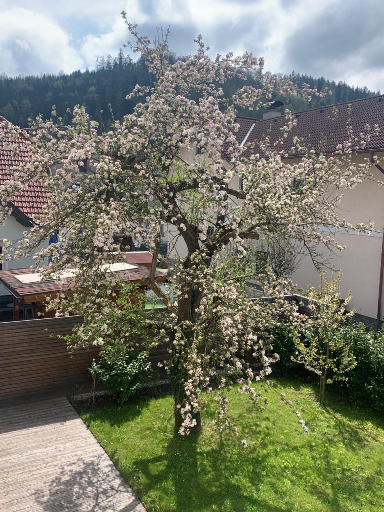 Haus Zwei Apartamento Aspang Markt Exterior foto